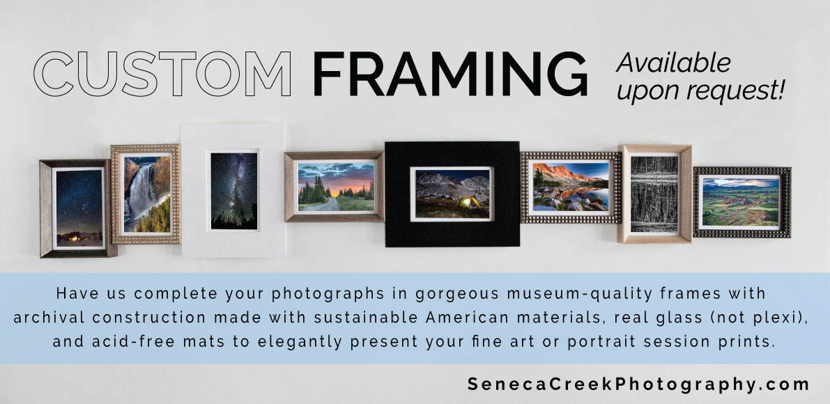 Frame-Service-Fine-Art-Ad