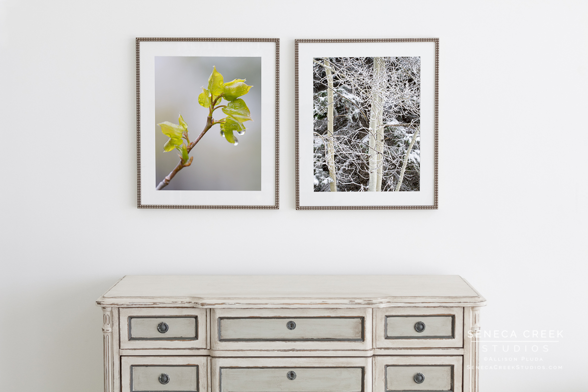 SenecaCreekStudios.com by Allison Pluda | Fine art matted and framed art | wyoming and western landscapes |307.298.0462 | Laramie, Wyoming | Seneca-Creek-Studios-110620-fine_art_prints aspen collection frame-1-2