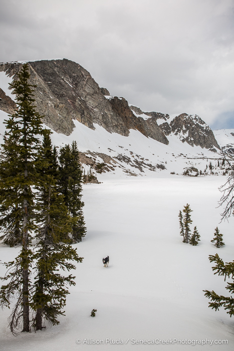 SenecaCreekPhotography.com - Opening Day of the Snowy Range Scenic Byway, Wyoming May 25th, 2
