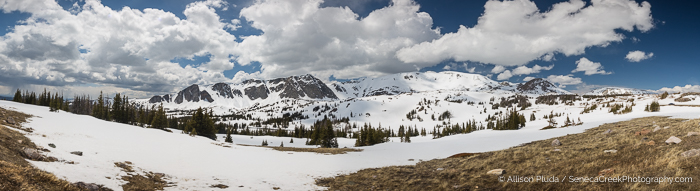 SenecaCreekPhotography.com - Opening Day of the Snowy Range Scenic Byway, Wyoming May 25th, 2