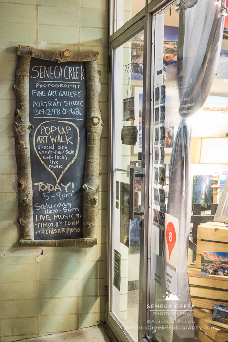 SenecaCreekPhotography.com by Allison Pluda | 2016 Laramie, Wyoming Pop-Up Art Walk at the Studio | Live Music by Timothy John and the Cluster Plucks | Featured Paintings by Melinda Cummings -