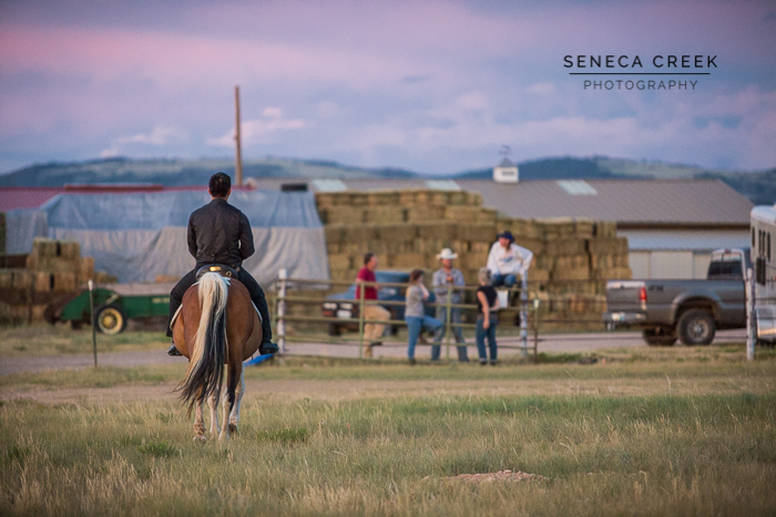 SenecaCreekPhotography.com by Allison Pluda | Ky's Senior Portraits with his Horse Gracie | Western Sunset in Laramie, Wyoming on the prairie