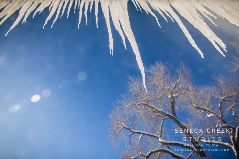 The Calm After the Storm: Sun, Snow, and -30 Degrees in Laramie, Wyoming