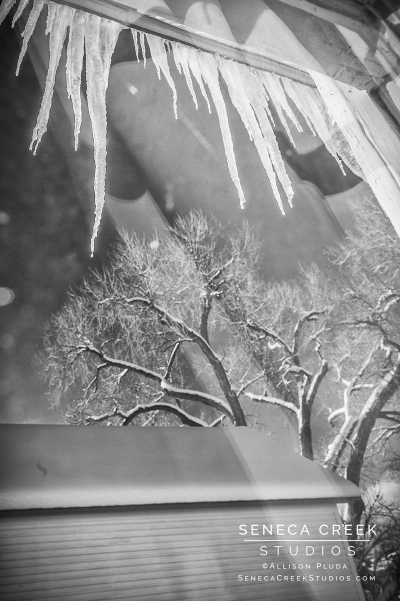 SenecaCreekStudios.com by Allison Pluda - winter in Wyoming with subzero temperatures - winter storm - Seneca-Creek-Studios-170105-SCP11479-86 Black and White