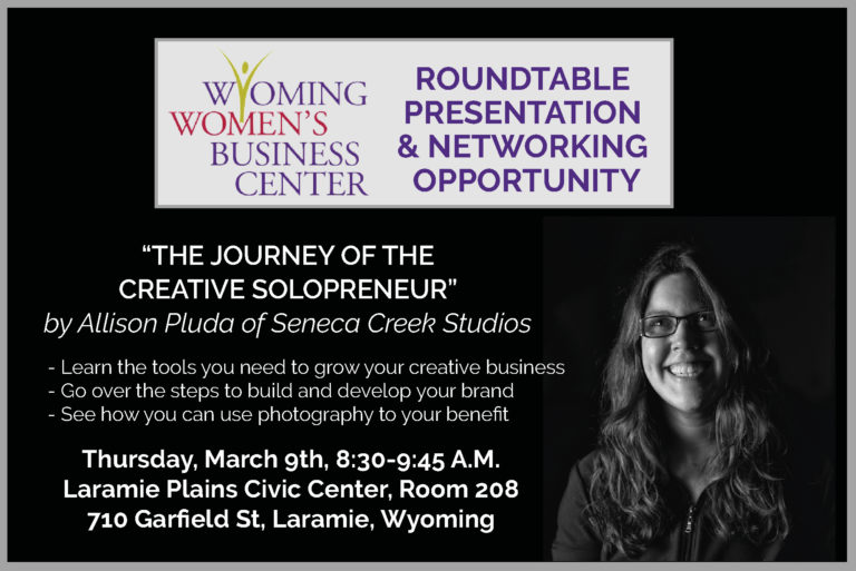 The Journey of the Creative Solopreneur Roundtable Presentation at the Wyoming Women’s Business Center