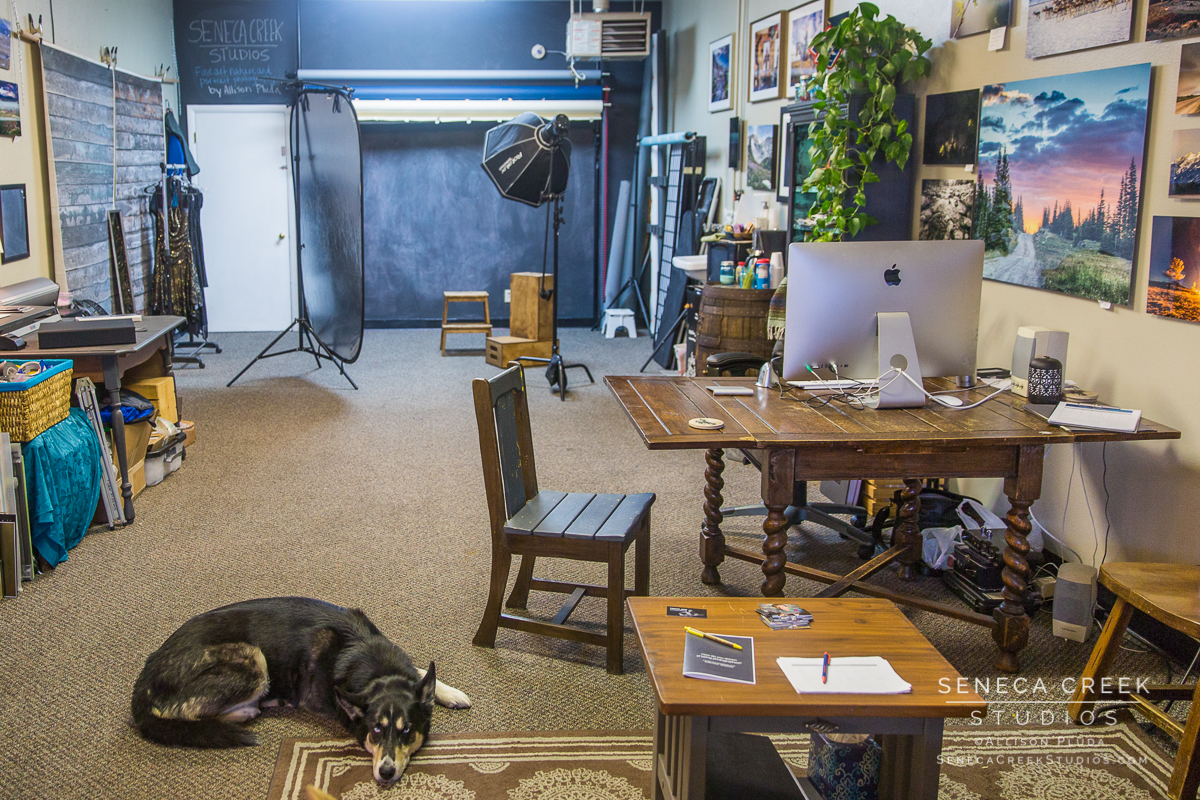 SenecaCreekStudios.com by Allison Pluda - fine art nature and portrait photography studio in historic downtown laramie wyoming - Seneca-Creek-Studios-170328-SCP13248-71