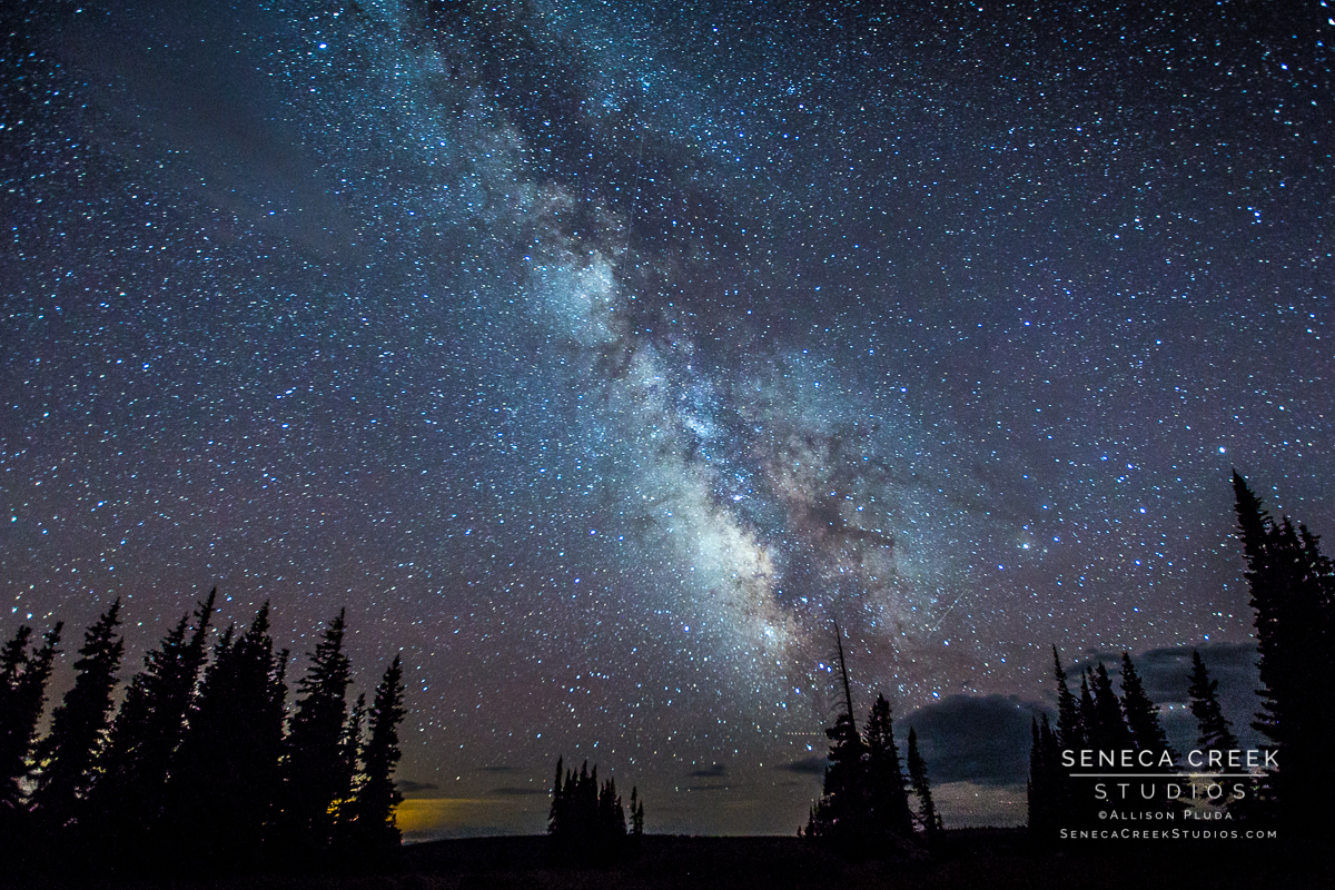 SenecaCreekStudios.com by Allison Pluda | Fine Art Nature and Portrait Photography | Laramie, Wyoming | 
