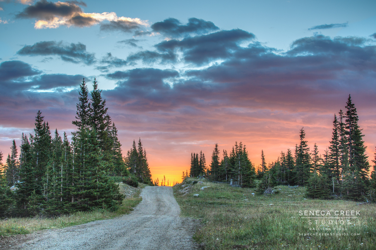 SenecaCreekStudios.com by Allison Pluda | Fine Art Nature and Portrait Photography | Laramie, Wyoming | 