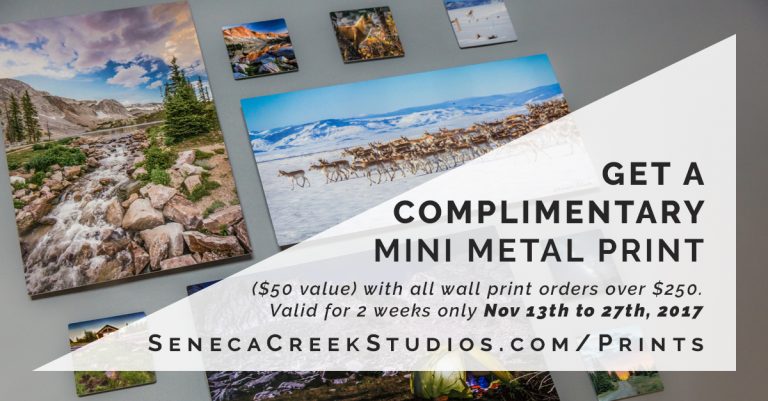Complimentary Mini Metal Nature & Landscape Prints For 2 Weeks Only