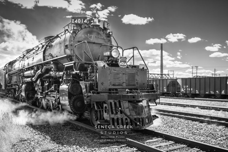 Union Pacific Historic Steam Locomotives Big Boy No. 4014, The Largest Steam Train in the World, and The Living Legend No. 844 Photographs from Their Stop at the Laramie Railroad Depot in Downtown Laramie, Wyoming | Train Photography